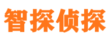 肥城外遇出轨调查取证